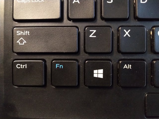 But why, though? – Nothing In It