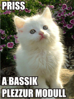 Priss: A bassik plezzur modull.