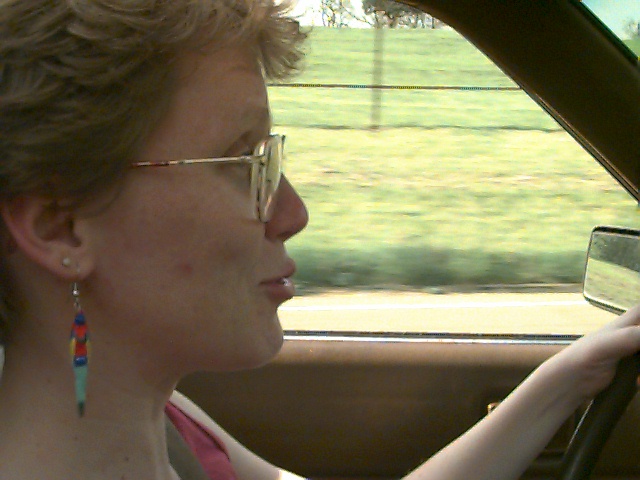 Sharon Driving
